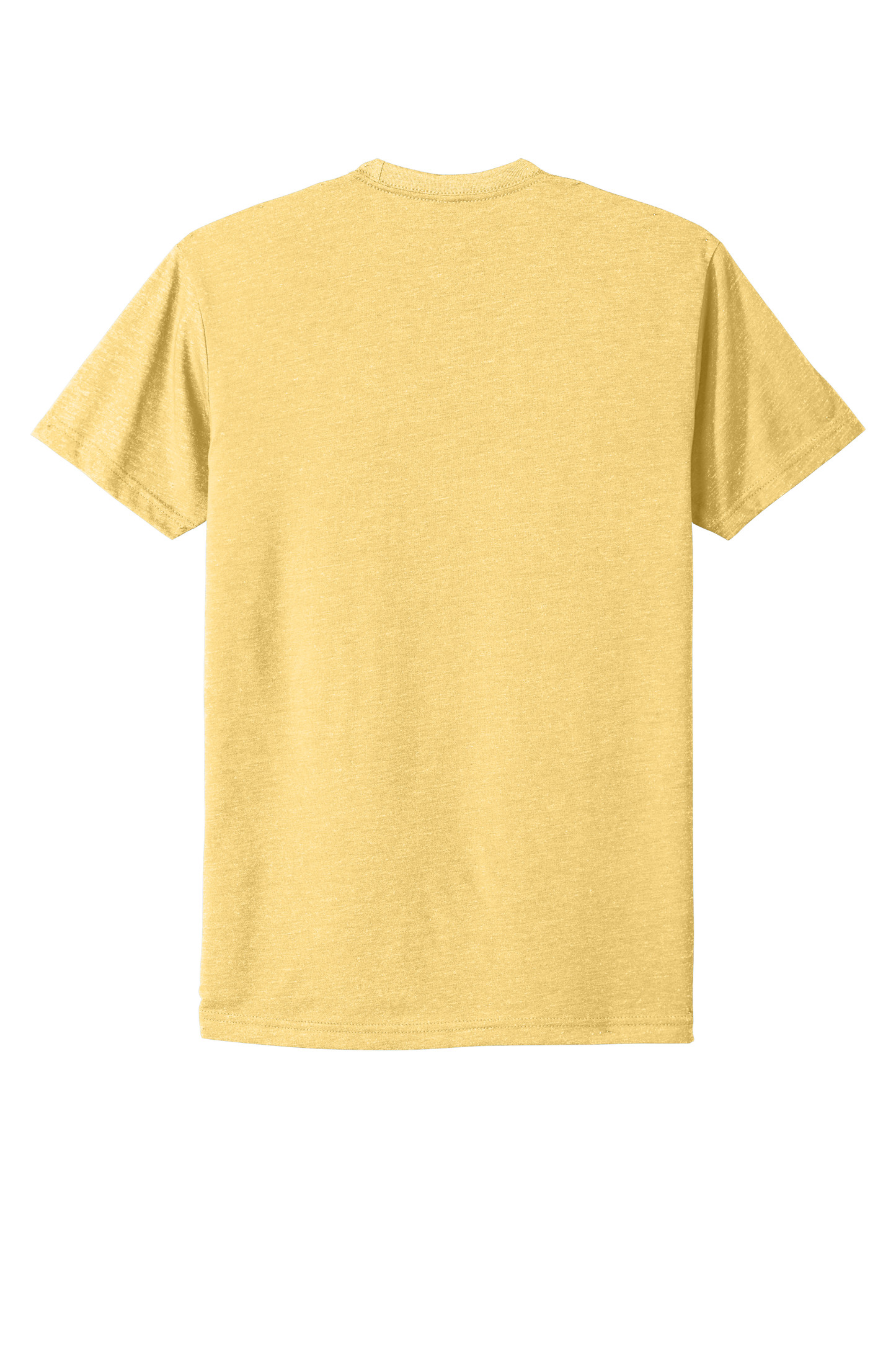 NL6210 Next Level Apparel® Adult CVC Tee